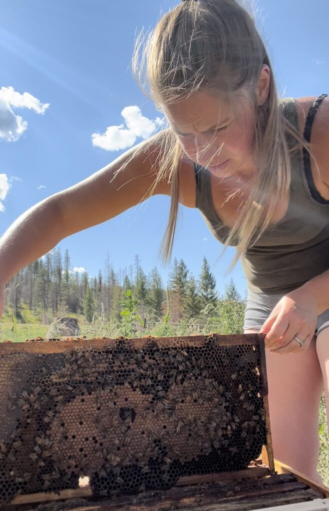 Woman holding frame of honeybees