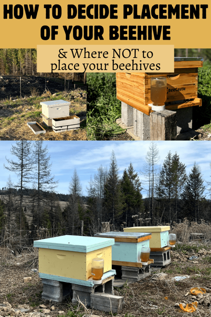 beehive placement pinterest pin