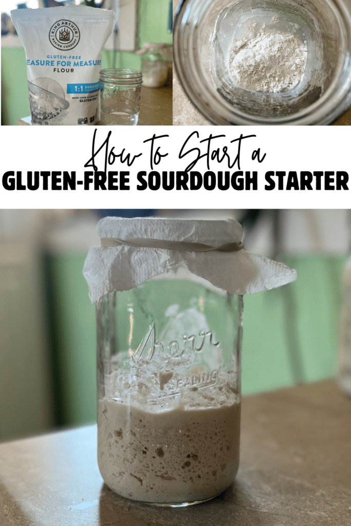 gluten free sourdough starter pin