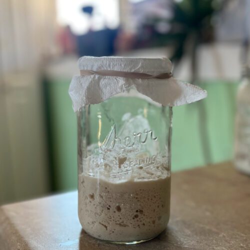 gluten free sourdough starter sitting on a counter