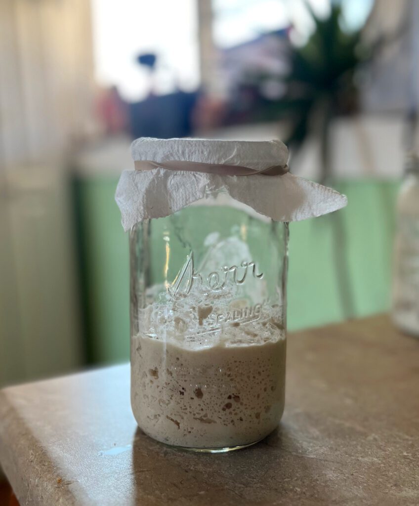 gluten free sourdough starter sitting on a counter