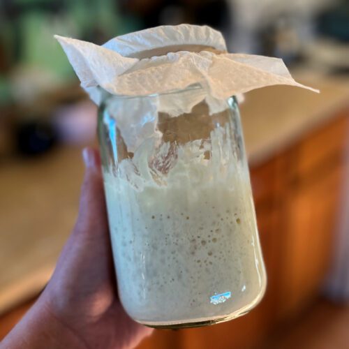 hand holding jar of sourdough starter