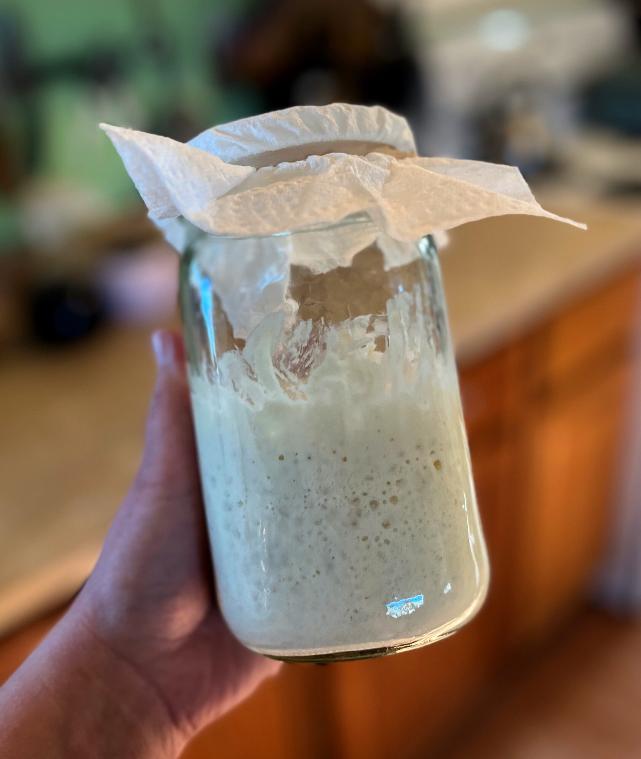 hand holding jar of sourdough starter