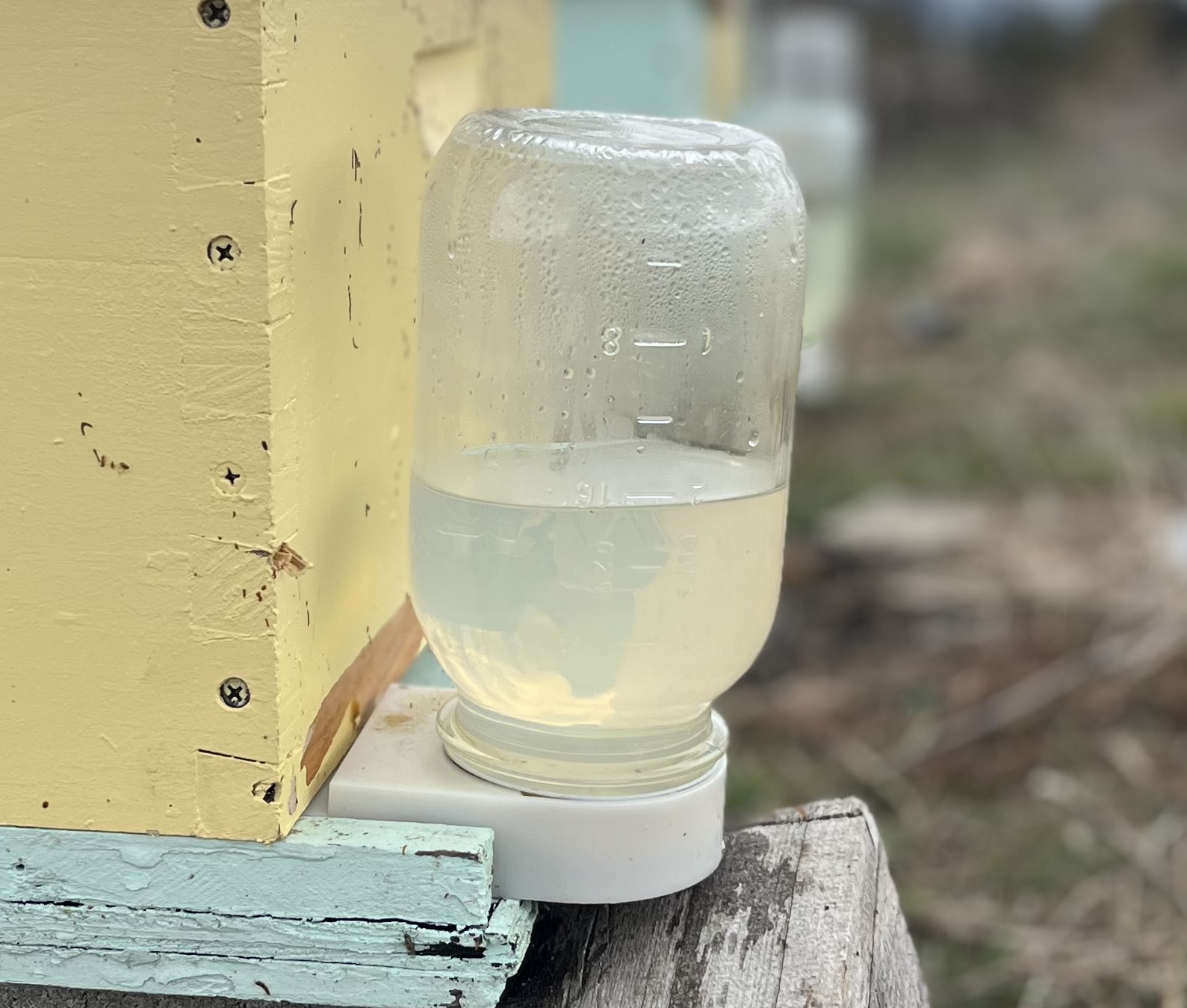 honeybee feeder half empty