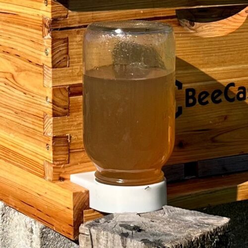 Sugar syrup in beehive entrance feeder