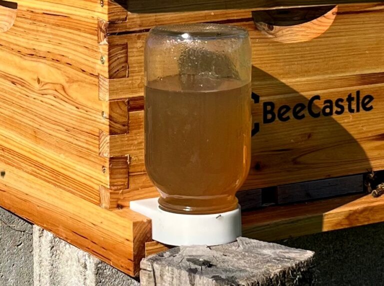 Sugar syrup in beehive entrance feeder