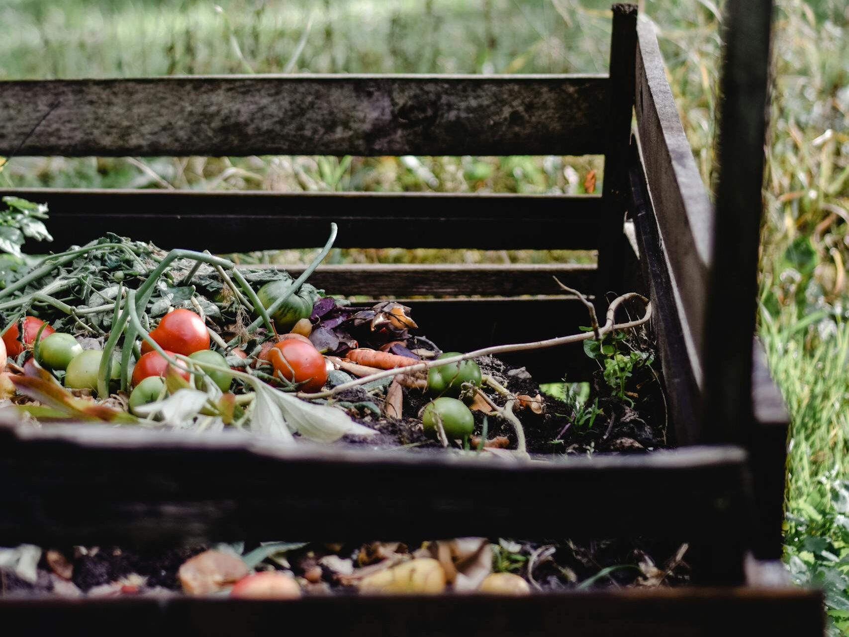 Vegetables on the Soil