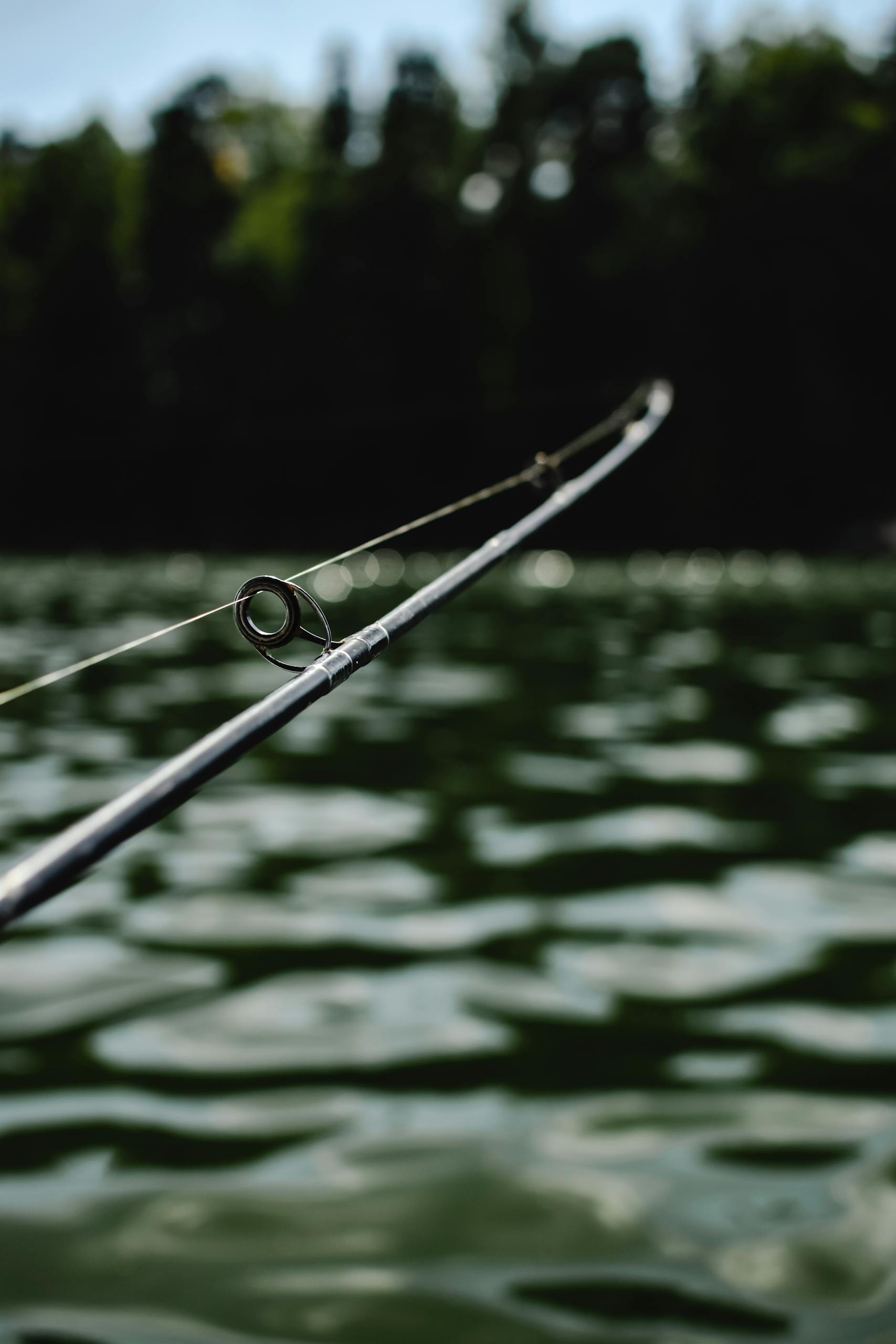 Fishing rod and line extending over a peaceful lake in Finland's summer setting.