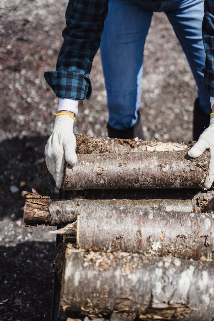 A person in gloves stacking firewood logs outdoors in daylight.