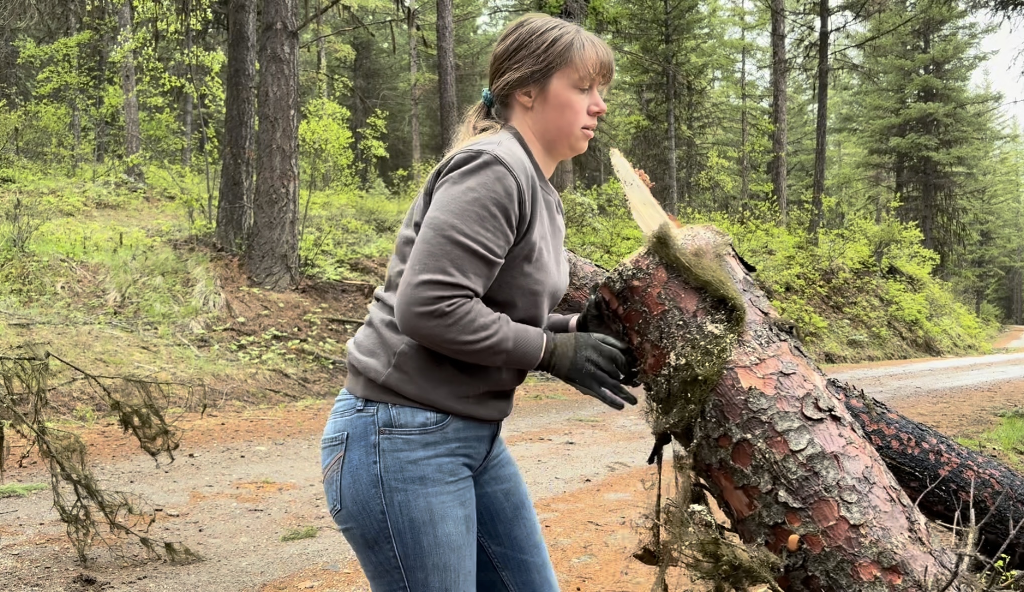 woman moving log out of road