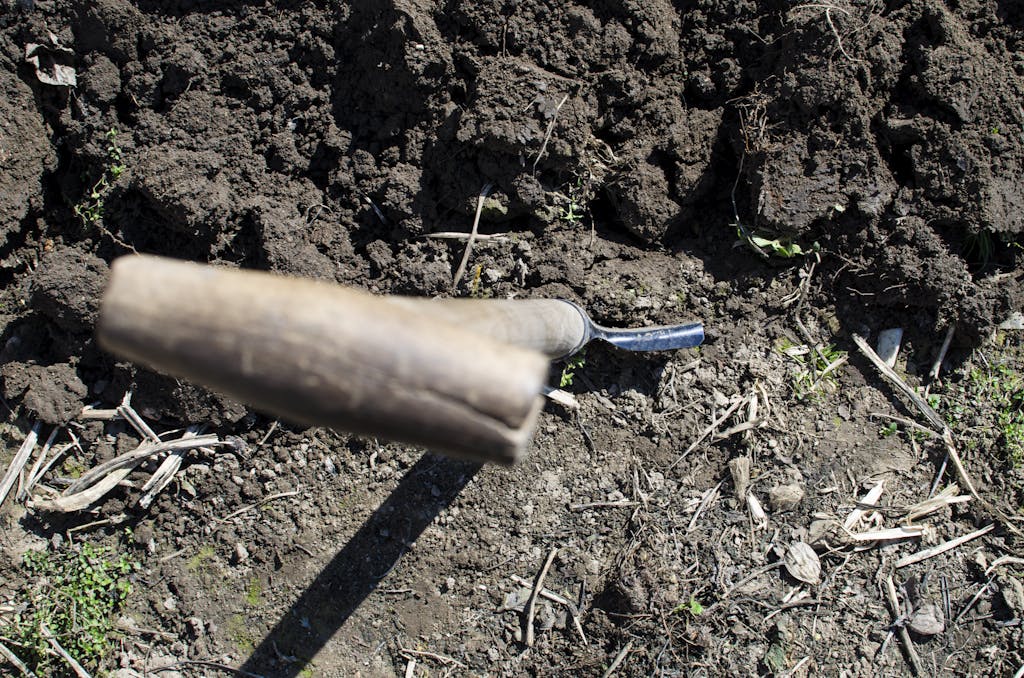 A shovel in freshly turned soil, ideal for gardening or farming themes.